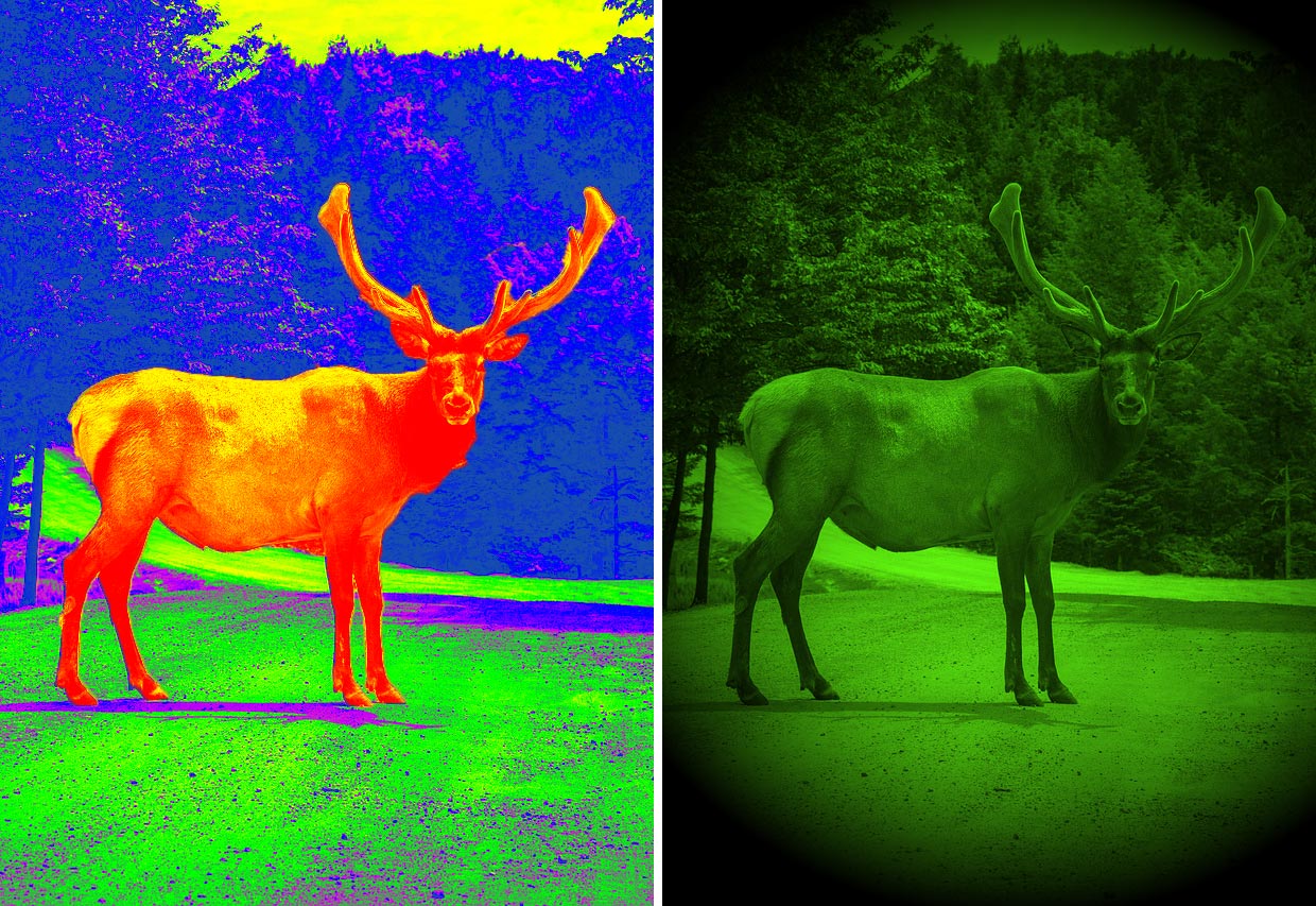 Is Thermal Monocular Better Than Night Vision Scope? xinfraredx